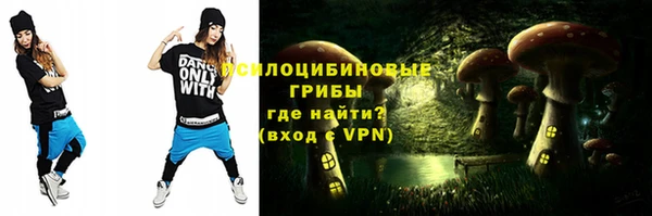 тгк Алексин
