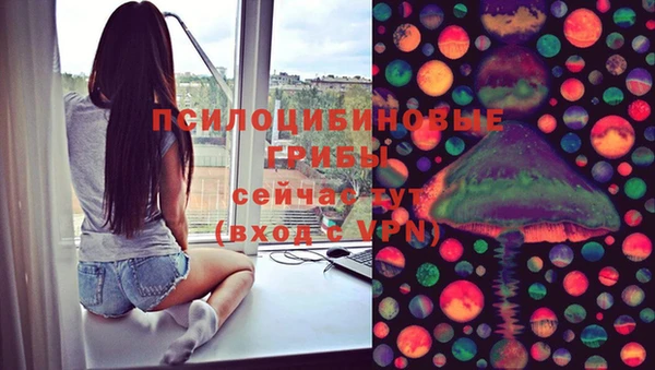 ПСИЛОЦИБИНОВЫЕ ГРИБЫ Мегион
