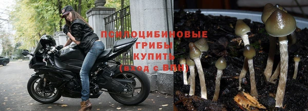 тгк Алексин