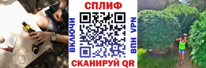 Бошки Шишки планчик Ачхой-Мартан